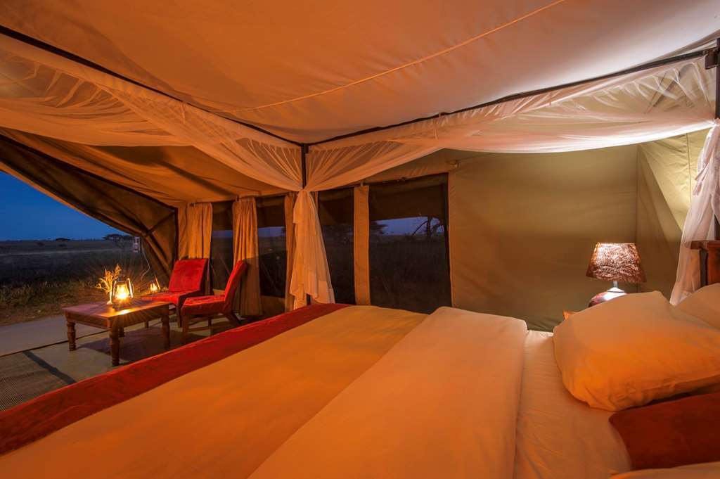Karibu Camps And Lodges Sametu Camp Serengeti Robanda Room photo