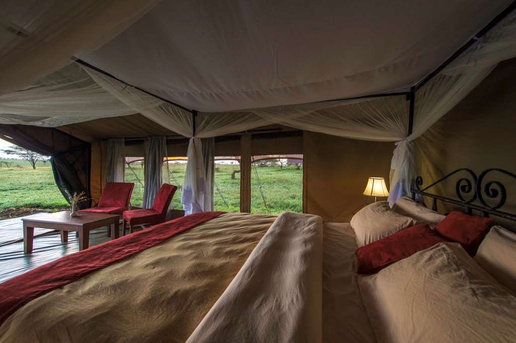 Karibu Camps And Lodges Sametu Camp Serengeti Robanda Room photo